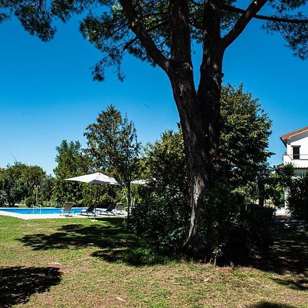 Terre Etrusche Guest House-Terme -3 Minuti Da Viterbo Centro Luaran gambar