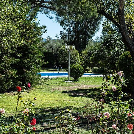 Terre Etrusche Guest House-Terme -3 Minuti Da Viterbo Centro Luaran gambar