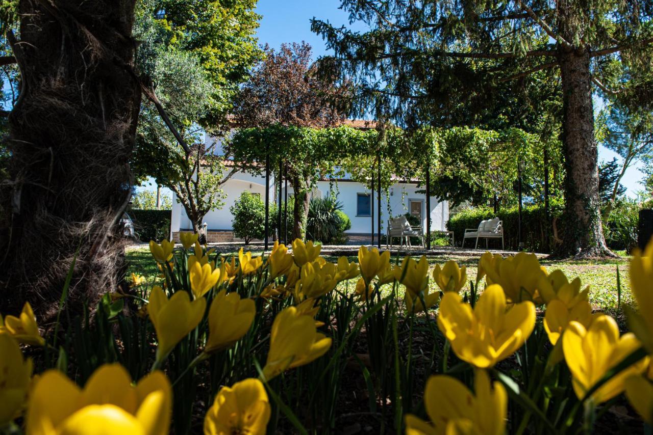 Terre Etrusche Guest House-Terme -3 Minuti Da Viterbo Centro Luaran gambar