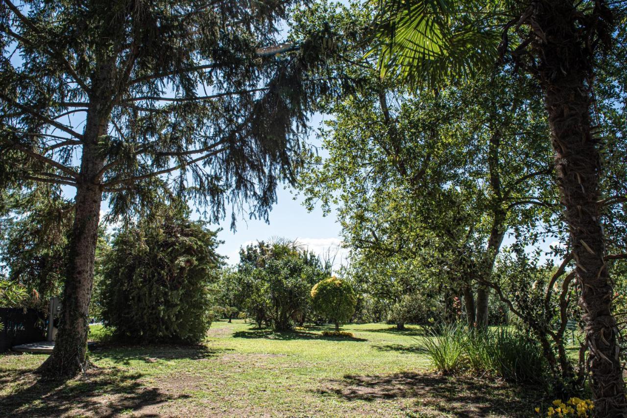 Terre Etrusche Guest House-Terme -3 Minuti Da Viterbo Centro Luaran gambar